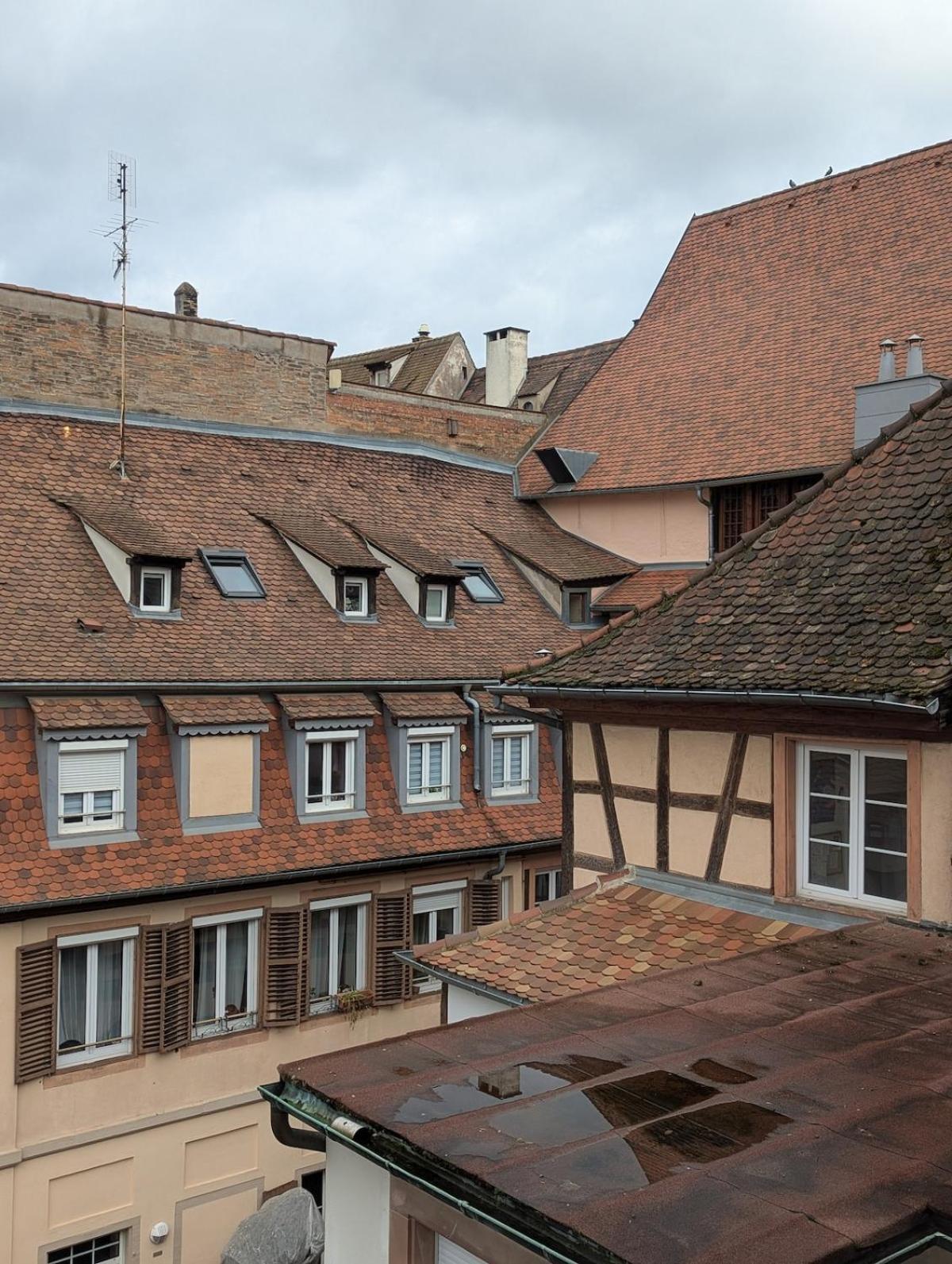 Citycosy - Le Nid De La Cathedrale * Strasbourg
